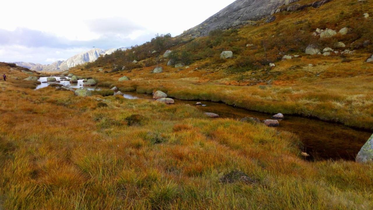 Sirdal Hoyfjellshotell Fidjeland Exteriör bild