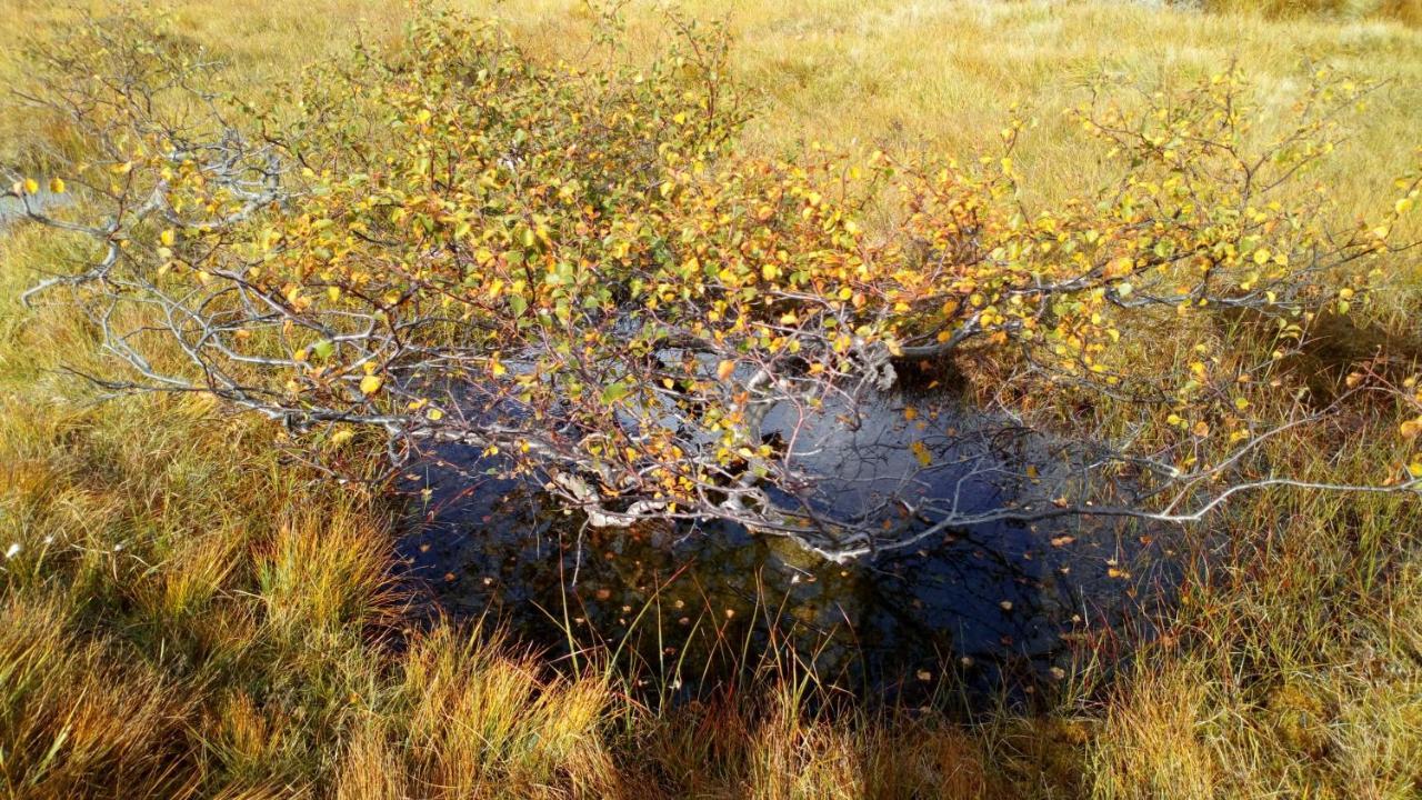 Sirdal Hoyfjellshotell Fidjeland Exteriör bild